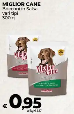 Coop MIGLIOR CANE Bocconi in Salsa vari tipi offerta