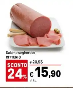 Iper La Grande Salame ungherese CITTERIO offerta