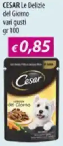 Acqua & Sapone CESAR Le Delizie del Giorno offerta