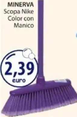 Acqua & Sapone MINERVA Scopa Nike Color con Manico offerta