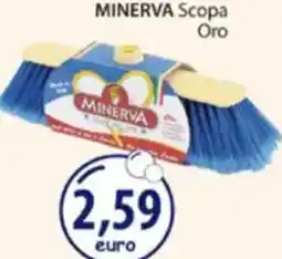 Acqua & Sapone MINERVA Scopa Oro offerta