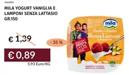 Prezzemolo e Vitale Mila yogurt vaniglia e lamponi senza lattasio offerta