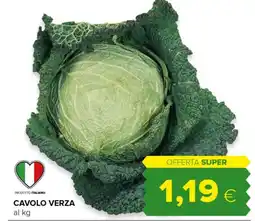 Tigre Cavolo verza offerta