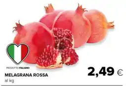Tigre Melagrana rossa offerta