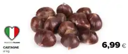 Tigre Castagne offerta