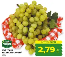 Tigre Uva italia selezione qualità offerta