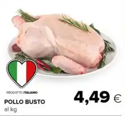 Tigre Pollo busto offerta