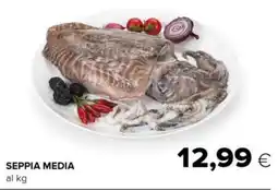 Tigre Seppia media offerta