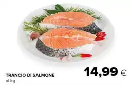 Tigre Trancio di salmone offerta