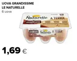 Tigre Uova grandissime LE NATURELLE offerta