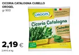 Tigre Cicoria catalogna cubello OROGEL offerta