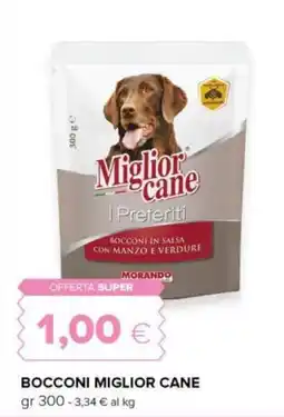 Tigre Bocconi MIGLIOR CANE offerta