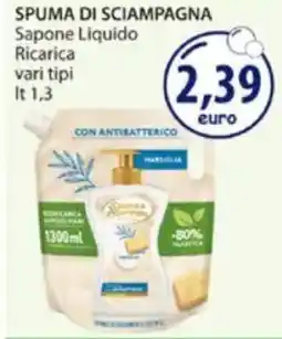Acqua & Sapone SPUMA DI SCIAMPAGNA Sapone Liquido Ricarica vari tipi offerta