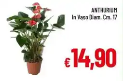 IperFamila Anthurium offerta