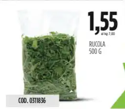 Carico Cash & Carry Rucola offerta