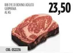 Carico Cash & Carry Rib eye di bovino adulto germania offerta
