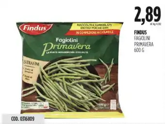 Carico Cash & Carry Findus fagiolini primavera offerta
