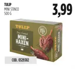 Carico Cash & Carry Tulip mini stinco offerta