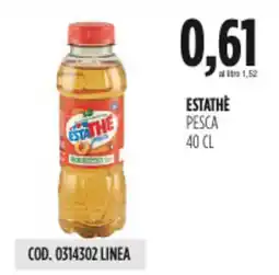 Carico Cash & Carry Estathè pesca offerta