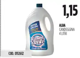 Carico Cash & Carry Alba candeggina offerta