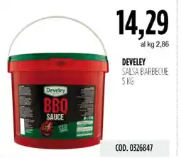 Carico Cash & Carry Develey salsa barbecue offerta