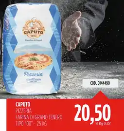 Carico Cash & Carry Caputo pizzeria farina di grano tenero tipo "00" offerta