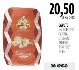Carico Cash & Carry Caputo saccorosso farina di grano tenero tipo "00" offerta