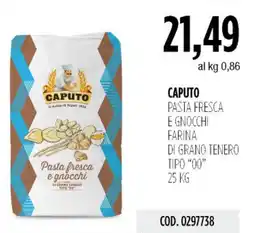 Carico Cash & Carry Caputo pasta fresca e gnocchi farina di grano tenero tipo "00" offerta