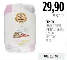 Carico Cash & Carry Caputo nuvola super farina di grano tenero tipo "00" offerta