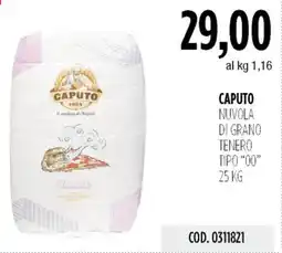 Carico Cash & Carry Caputo nuvola di grano tenero tipo "00" offerta