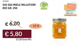 Prezzemolo e Vitale Giu giu miele millefiori bio offerta
