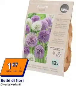 Action Bulbi di fiori offerta