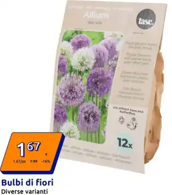 Action Bulbi di fiori offerta