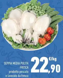 Conad Seppia media pulita fresca offerta