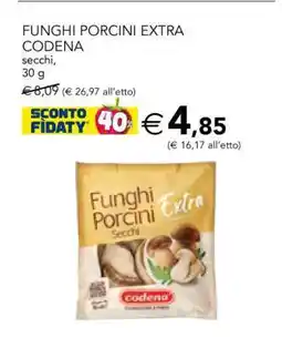 Esselunga FUNGHI PORCINI EXTRA CODENA offerta