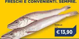 Esselunga Nasello offerta