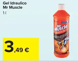 Carrefour Gel Idraulico Mr Muscle offerta