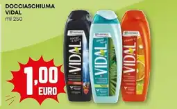 Pam Docciaschiuma VIDAL offerta