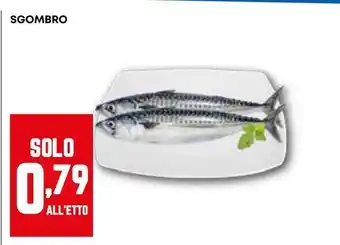 Pam Sgombro offerta