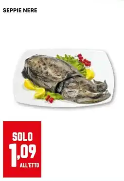 Pam Seppie nere offerta
