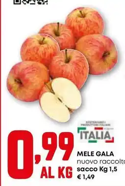 Pam Mele gala offerta