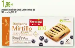 Coop Sfogliatina Mirtillo con Grano Kamut Germinal Bio offerta