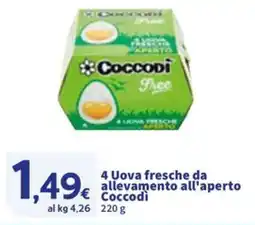 Sigma 4 Uova fresche da allevamento all'aperto Coccodi offerta