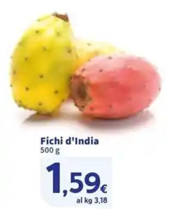 Sigma Fichi d'India offerta