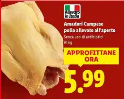 Lidl Amadori Campese Pollo allevato all'aperto offerta