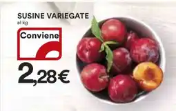 Coop SUSINE VARIEGATE offerta
