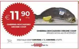 Coop OMBRINA BOCCADORO ORIGINE COOP offerta