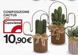 Coop COMPOSIZIONE CACTUS offerta