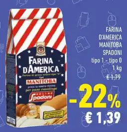 Conad Farina d'america manitoba SPADONI tipo 1 tipo 0 offerta