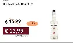Prezzemolo e Vitale Molinari sambuca offerta